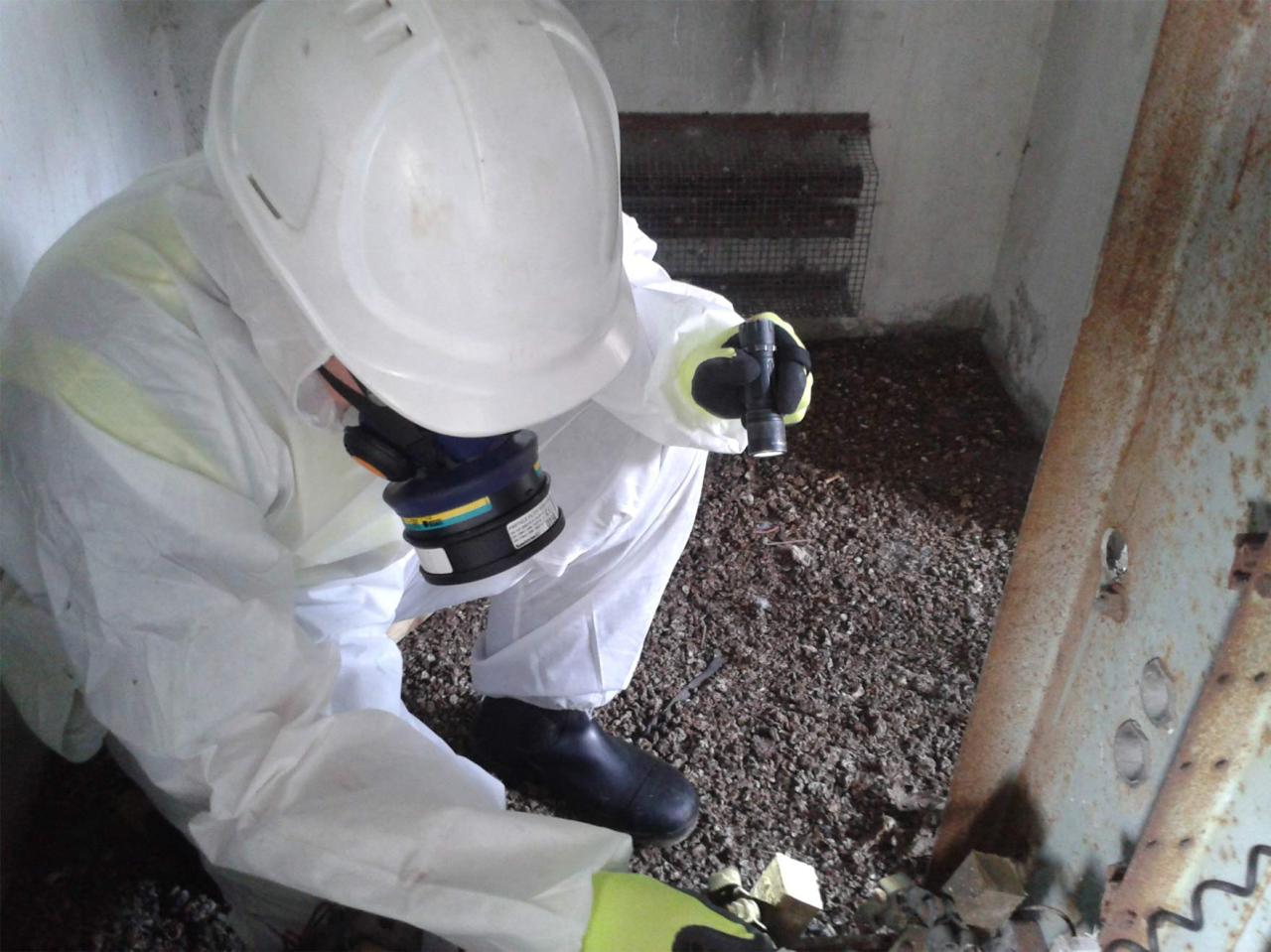 Asbestos remediation