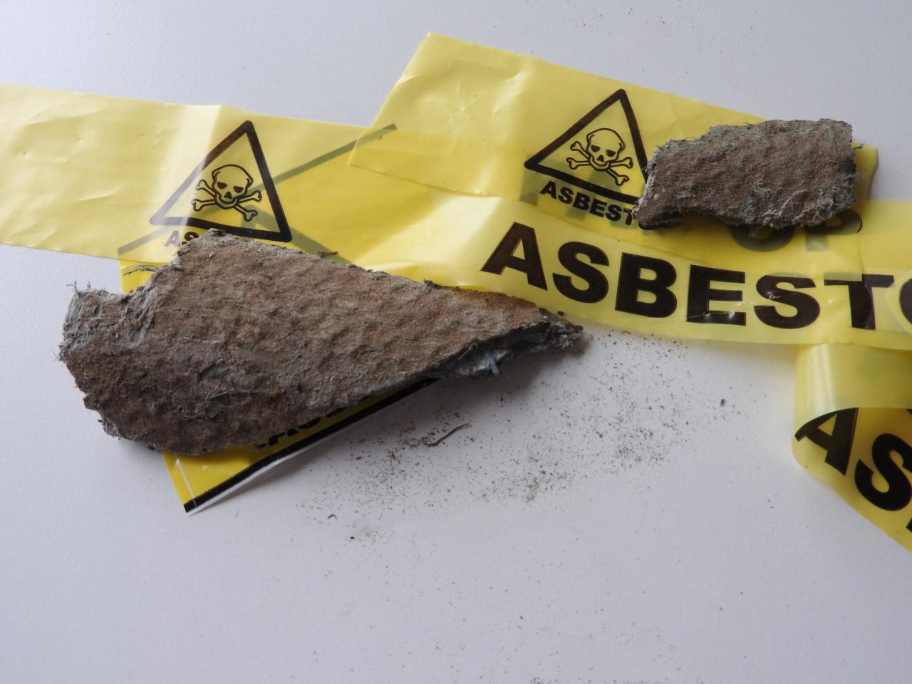 Asbestos houseaffection diseases Asbesto