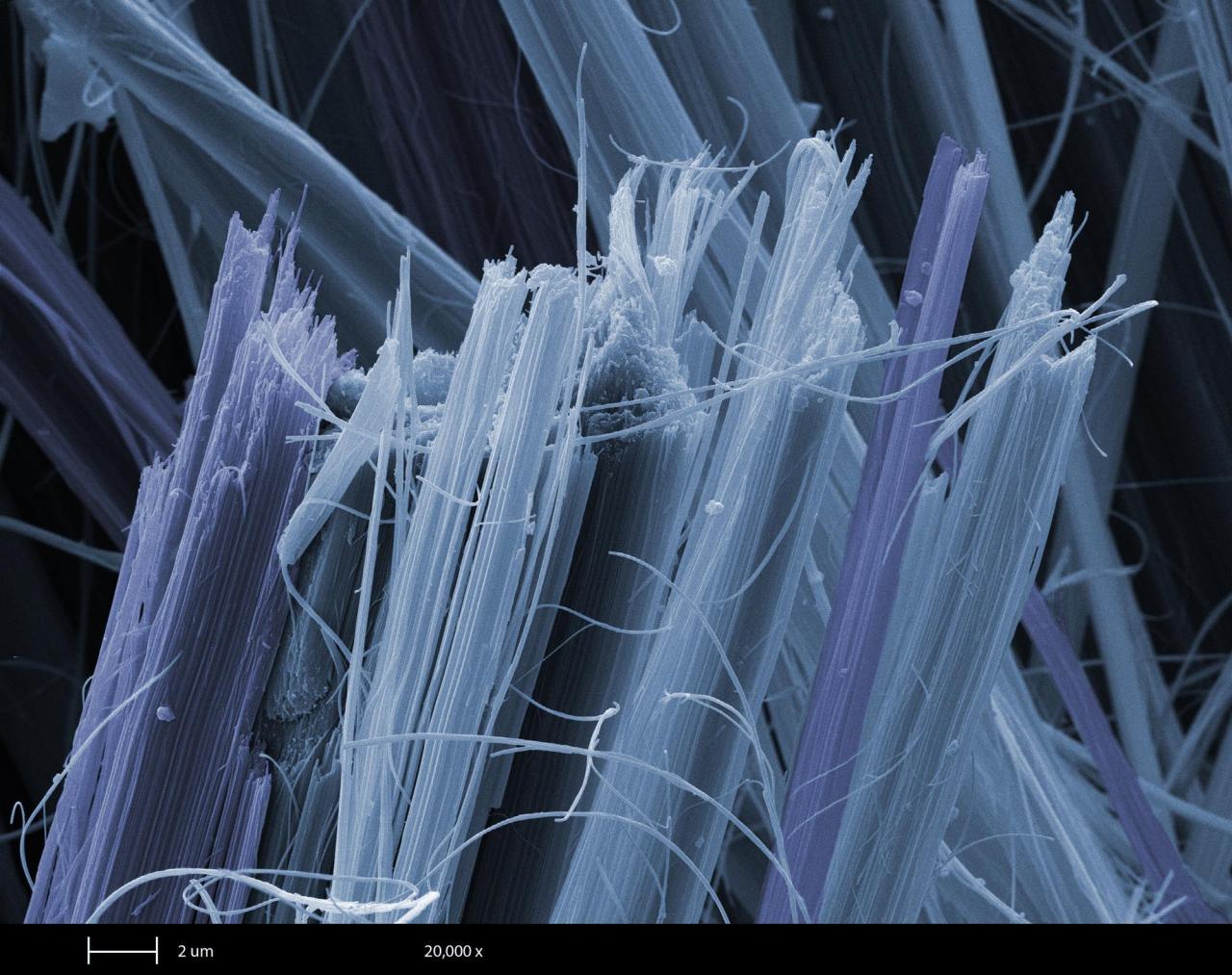 Asbestos wizard of oz