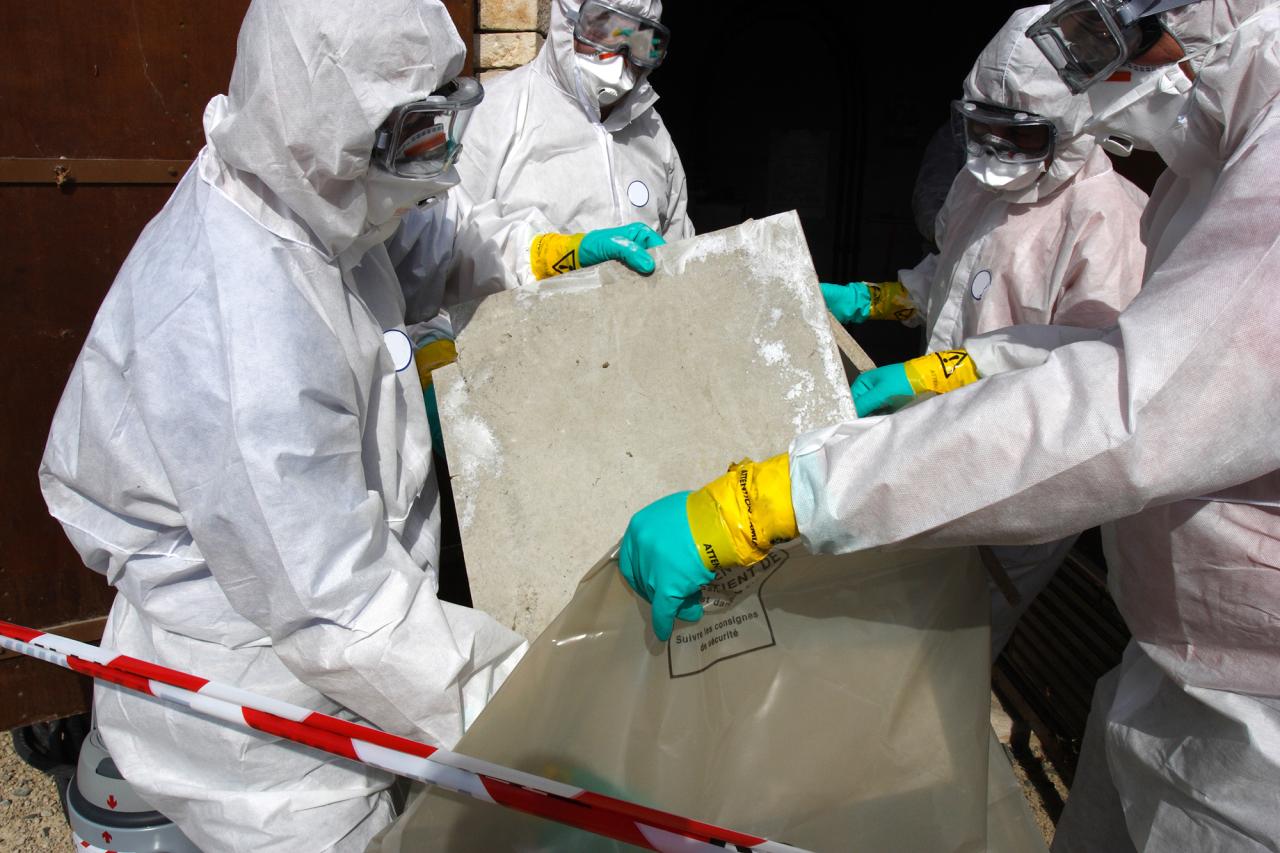 Asbestos removal cost