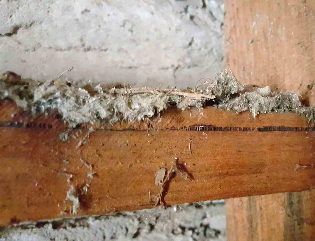 Asbestos popcorn ceiling
